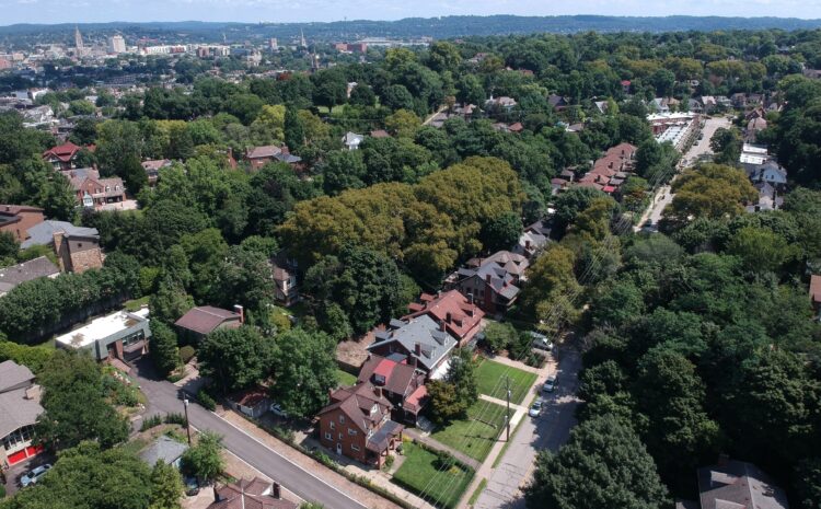  How Courts Evaluate Easements by Necessity